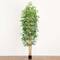9ft. Potted Bamboo Tree with Real Bamboo Trunks